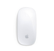 Apple Magic Mouse MK2E3ZM/A obrázek