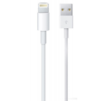 Datový kabel USB Apple MD818ZM iPhone 5 originální, bulk obrázek